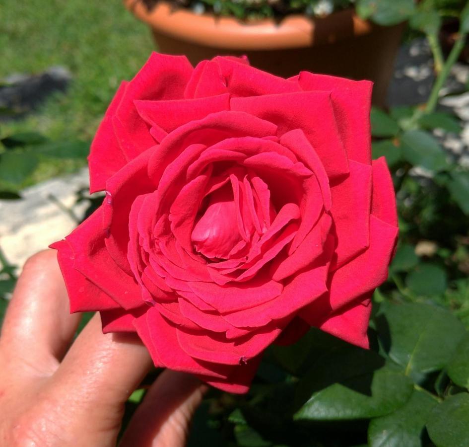 Gemma Di Gallura Charme B&B Olbia Dış mekan fotoğraf